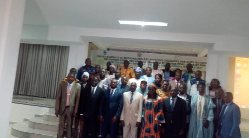 Préservation de l&rsquo;environnement: UICN s&rsquo;engage dans la restauration des paysages dégradés au Cameroun.