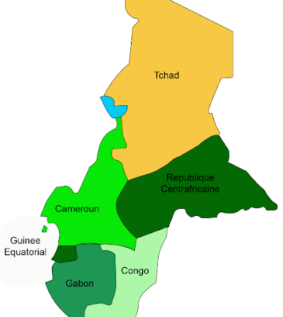 Pref-Cemac:La session extraordinaire examine les répercussions économiques du Covid19 sur les Pays de la Cemac et adopte un Plan de riposte.