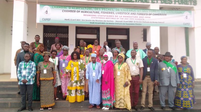 Cameroun/Chambre d’agriculture : le bureau exécutif était en conclave