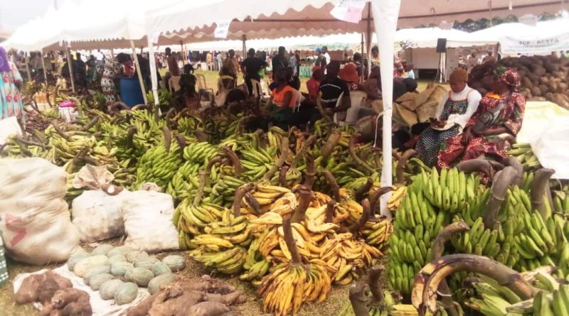 Lutte contre la vie chère :la réplique efficace de la Région du Sud