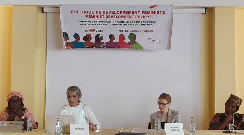 Coopération au Développement Allemand: Des Échanges sur la Politique de Développement Féministe 