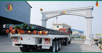 🇨🇲CAMEROUN:ACERO METAL SARL mise sur la substitution aux importations et l’export pour s’imposer comme acteur sidérurgique régional