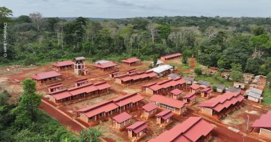 🇨🇲🌿 Cameroun : Quand de meilleures conditions de vie renforcent la protection des forêts