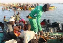 🇨🇲🎣 Cameroun : une mobilisation urgente contre la pêche illégale