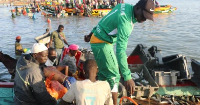 🇨🇲🎣 Cameroun : une mobilisation urgente contre la pêche illégale