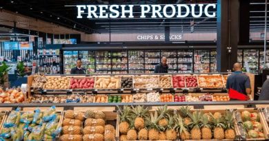 🇿🇦🇨🇮Afrique : les champions discrets de l’excédent commercial