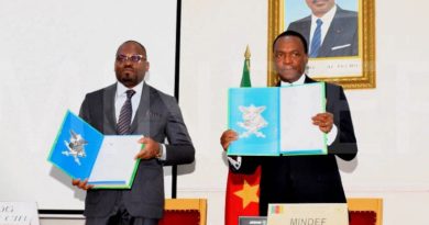 🇨🇲Cameroun-Industrie Automobile et de Defense: le Ministre Beti Assomo en Game changer