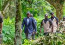 🇬🇦Gabon : le pari risqué d’Oligui Nguema entre diplomatie climatique et commerce du luxe