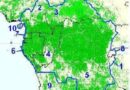 🇨🇲🇨🇫🇹🇩🇨🇬🇬🇶🇬🇦Cameroun:À Douala, la CEMAC et la COMIFAC préparent la gouvernance d’un ambitieux programme forestier financé par la Banque mondiale