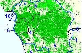 🇨🇲🇨🇫🇹🇩🇨🇬🇬🇶🇬🇦Cameroun:À Douala, la CEMAC et la COMIFAC préparent la gouvernance d’un ambitieux programme forestier financé par la Banque mondiale