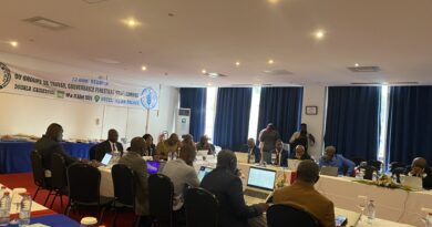 🇨🇩🇨🇫🇧🇮🇦🇴🇨🇲🇨🇫🇨🇬🇹🇩Bassin du Congo : la COMIFAC veut transformer la gouvernance forestière en levier de croissance durable