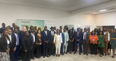 🇬🇦🇨🇲Cameroun – Emprunt obligataire : la Gabonaise Bamboo Microfinance séduit les investisseurs camerounais