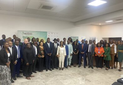 🇬🇦🇨🇲Cameroun – Emprunt obligataire : la Gabonaise Bamboo Microfinance séduit les investisseurs camerounais